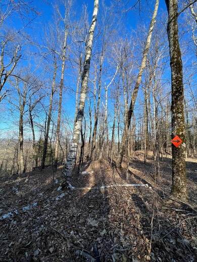 00 Borough Rd, Charlestown, NH 03603 - photo 7