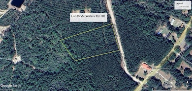 2296 Vic Waters Dr SE, Townsend, GA 31331 - photo 2