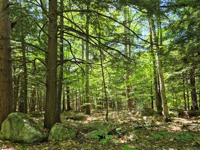 Lot 36D Foster Ln, Belgrade, ME 04918 - photo 2