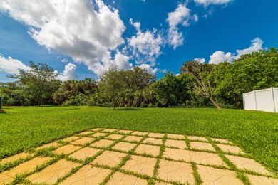 back-yard