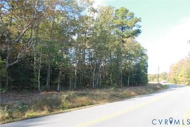 TBD E River Rd, Miles, VA 23025 - photo 4