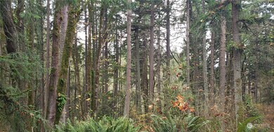 256 XX 86th Ave E, Graham, WA 98338 - photo 5