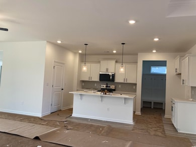 137 River Birch Dr, Loris, SC 29569 - photo 3