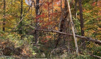River View Fall3