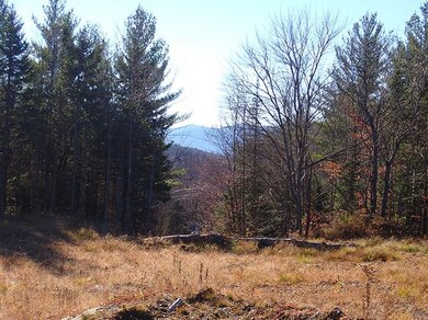 00 Fisher Rd, Roxbury, VT 05669 - photo 2