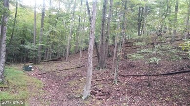 0 Comptons Rd unit 1001180161, Berkeley Springs, WV 25411 - photo 6