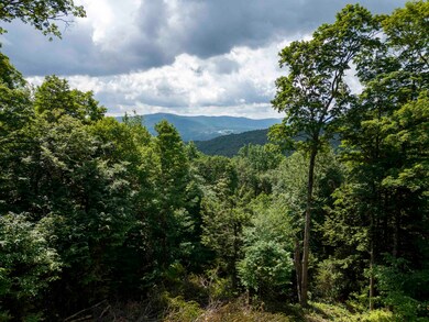 0 Center Fayston Rd, Waitsfield, VT 05673 - photo 2