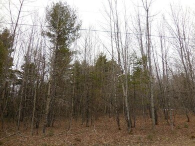 Stetson Land 2