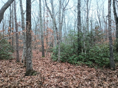 0 Axtell Rd unit 363502, Scottsville, VA 24590 - photo 7