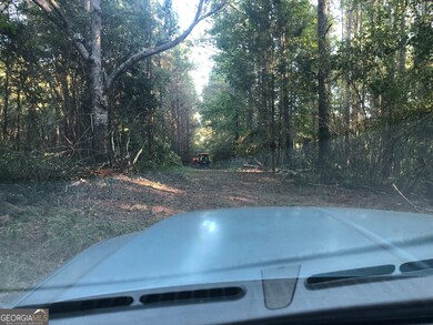 LOT 10 Triune Mill Rd, Thomaston, GA 30286 - photo 5