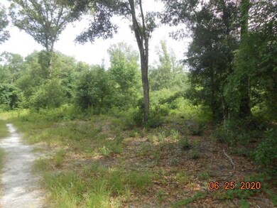 Possible home site