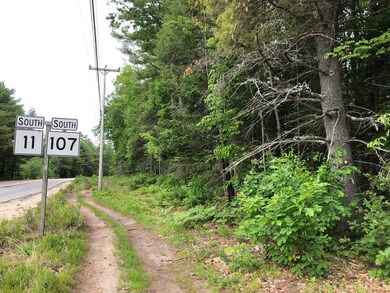 35acres Freemont & Bridgton Roads, Baldwin, ME 04024 - photo 2