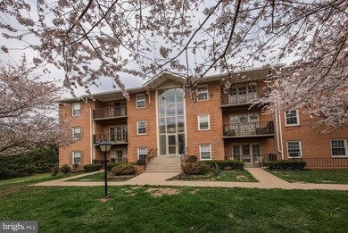 3332 Spring Ln unit C46, Baileys Crossroads, VA 22041 - photo 2