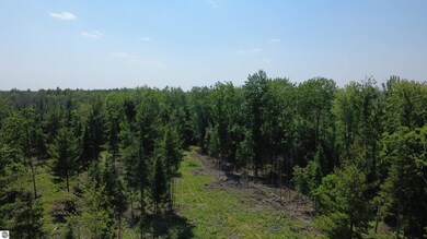 Off of Gallagher Rd, West Branch, MI 48661 - photo 7