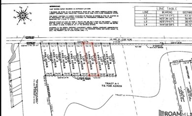 Lot #6 Louisiana 22, Darrow, LA 70725 - photo 2