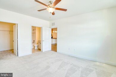 Overlook at Bulle Rock unit 303, Havre de Grace, MD 21078 - photo 7