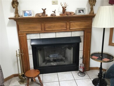 Corner gas fireplace in the Great Room has nice tr