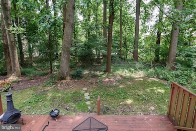 11724 Lone Tree Ct, Columbia, MD 21044 - photo 4