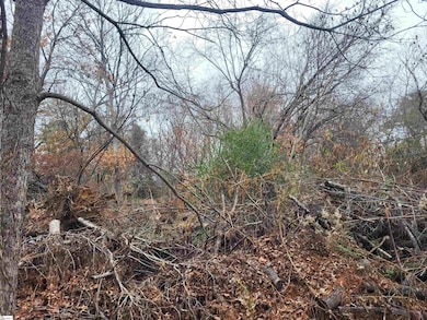 0 Pinecroft Dr, Taylors, SC 29687 - photo 3