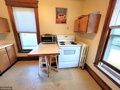 126 1/2 S 4th St unit 203, River Falls, WI 54022 - photo 6