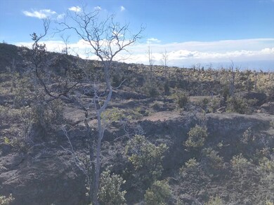 Lots of Pahoehoe lava throughout Lots 32,33