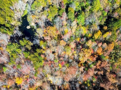 0 Sled Creek Rd, Duff, TN 37729 - photo 6