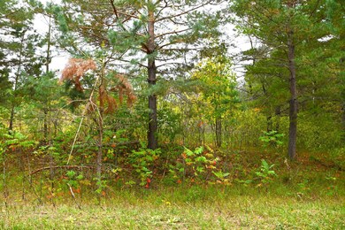 xxx Pequot Ct, Fawn Lake Township, MN 56438 - photo 2