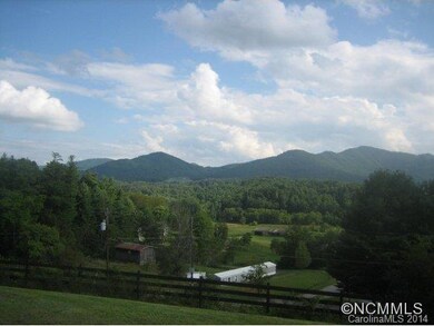 180 Jones Rd, Leicester, NC 28748 - photo 7