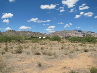Looking west