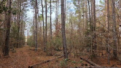 S14 unit T4S R12W, Sheridan, AR 72150 - photo 2