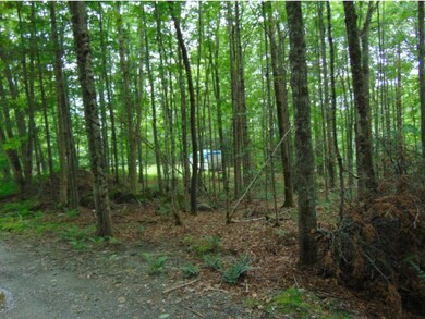 - Sullivan Dr, Stewartstown, NH 03597 - photo 5