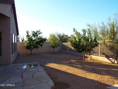 backyard 3