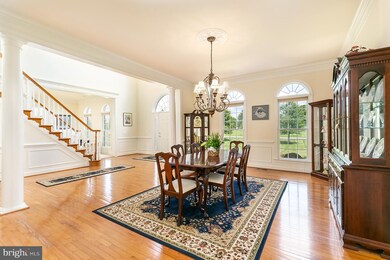 16703 Chestnut Overlook Dr, Purcellville, VA 20132 - photo 5