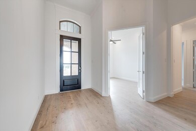 145 Highgate Ct, Boyd, TX 76023 - photo 5