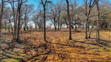 170 Hansma Way, Weatherford, TX 76087 - photo 3