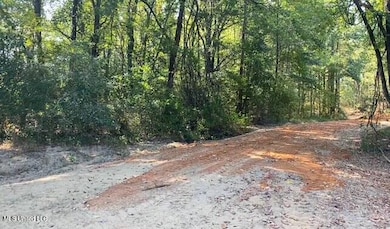 0 10 1 2 Acres Smith unit 4126758, Hernando, MS 38632 - photo 4