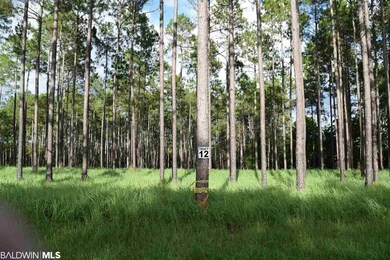 32534 County Road 64 Extension, Robertsdale, AL 36567 - photo 2