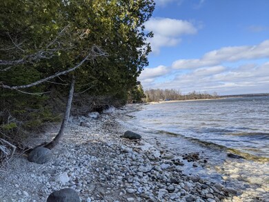 The shoreline
