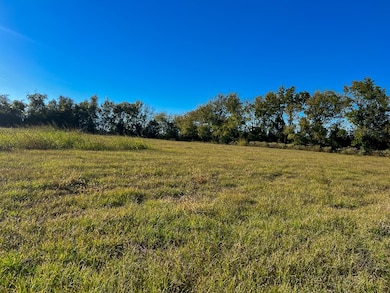 Tract #1 Farm To Market 1774, Anderson, TX 77830 - photo 2