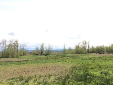 0 Stein Hill Ln unit 765973, Custer, WA 98240 - photo 4