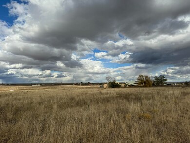 21 Rattlesnake Run, Edgewood, NM 87015 - photo 4