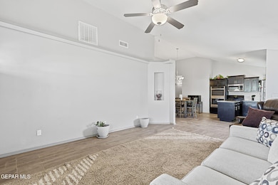 41-web-or-mls-IMG_7729