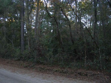 xx Neeley Rd unit x, Crawfordville, FL 32327 - photo 6