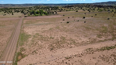 0 Concho Park Estates Unit 610, Concho, AZ 85924 - photo 3