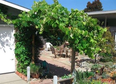 Beautiful entry arbor with well-producing concord 