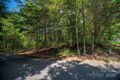 Lot 26 Line Dr, Forest City, NC 28043 - photo 6