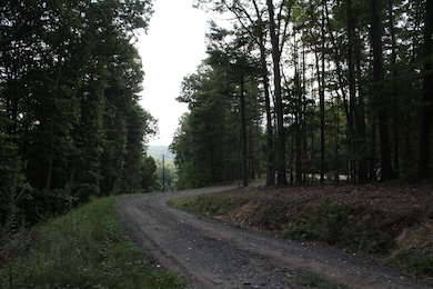 Lot 44 Old Saint Clair Rd unit Pipestem Pointe, Lovern, WV 25979 - photo 4