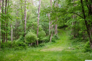 0 Doodletown Rd, Ancram, NY 12502 - photo 3