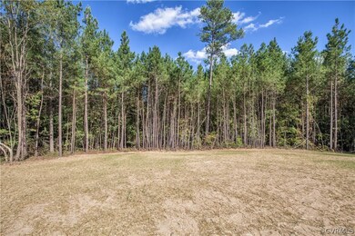 6281 Walnut Tree Dr, Powhatan, VA 23139 - photo 3