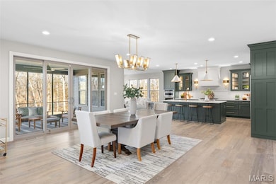 0 Unknown unit MIS25054060, Saint Albans, MO 63073 - photo 4